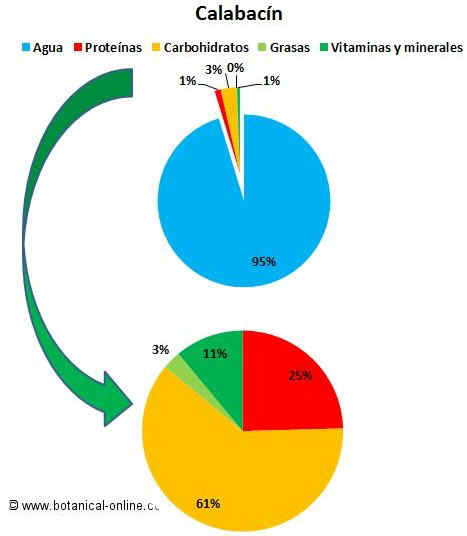 Composición del calabacin