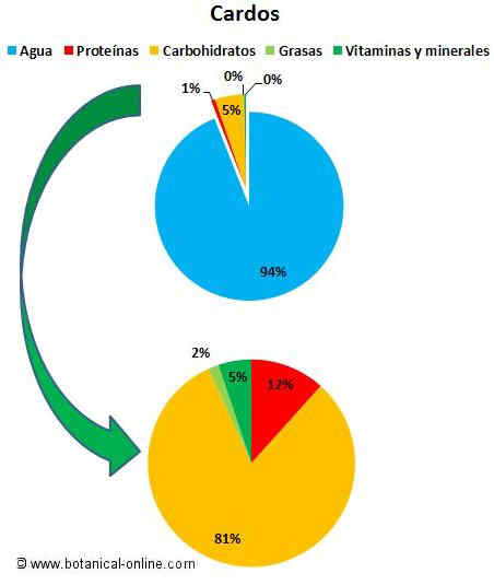 Composición del cardo