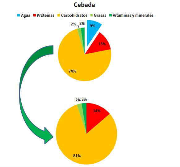 Composición de la cebada