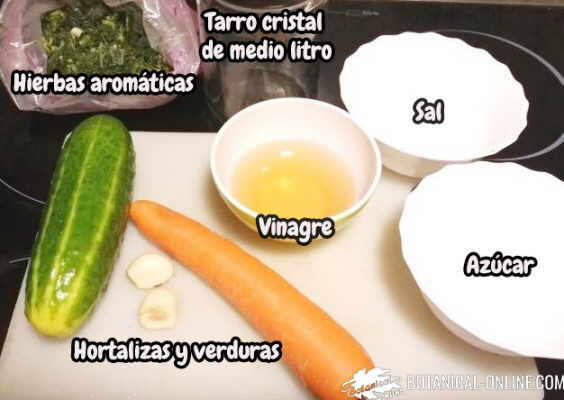 conserva de verduras encurtido