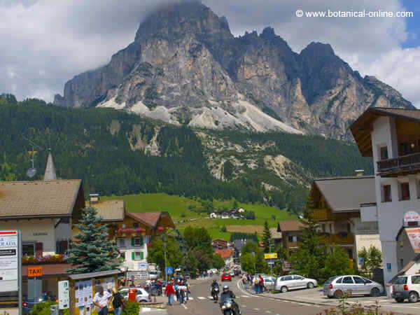 CORVARA