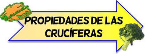 propiedades cruciferas