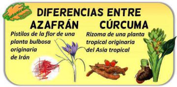 diferencias curcuma azafran