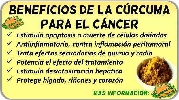 curcuma propiedades beneficios tratamiento natural remedios cancer