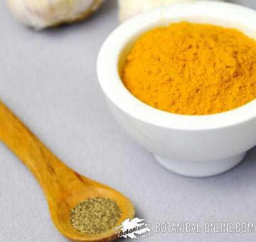 Propiedades de la cúrcuma para adelgazar – Botanical-online