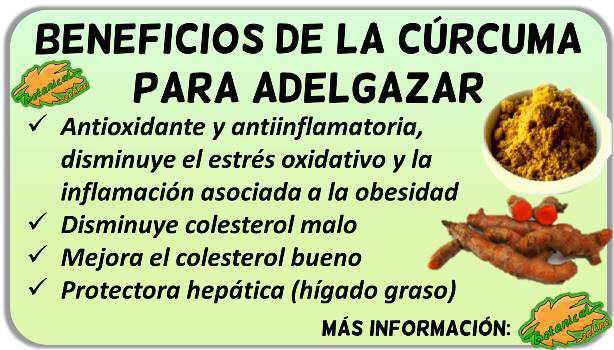 Propiedades de la cúrcuma para adelgazar – Botanical-online