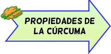 curcuma propiedades