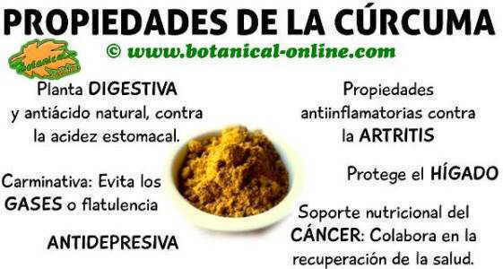 propiedades medicinales y beneficios de la cúrcuma