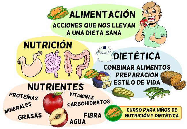 Que es nutricion