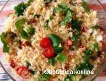 cuscus