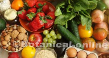 dieta rica en frutas y verduras