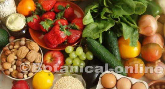 alimentos dieta