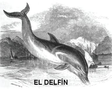 deelph