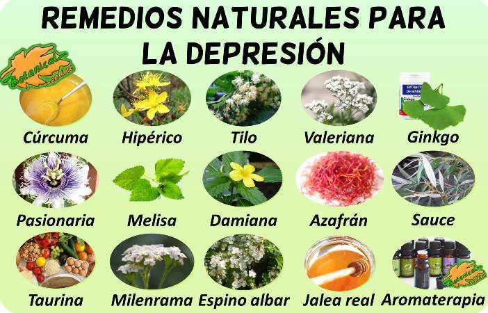 tratamiento natural de la depresión con plantas medicinales