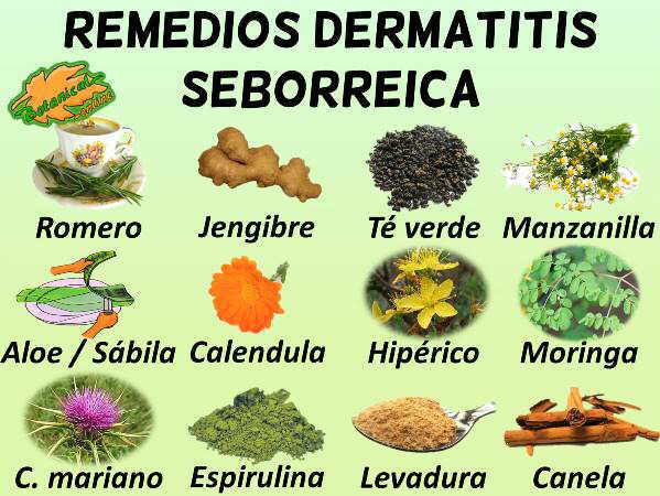 dermatitis seborreica remedios caseros naturales con plantas medicinales y suplementos