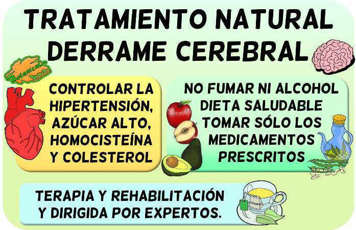 derrame cerebral tratamiento natural plantas medicinales y remedios