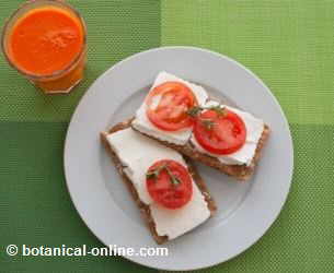 tostadas con queso light y licuado