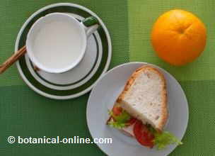 sandwich de queso con naranja y leche