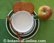 leche con galletas y manzana 310 calorias