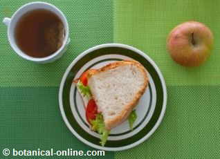 desayuno con sandwich vegetal y fruta