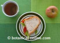 sandwich vegetariano fruta e infusion