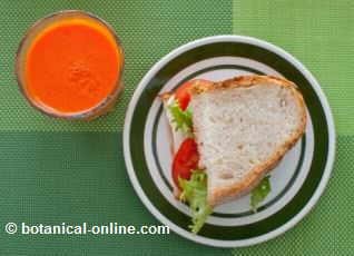 desayuno con sandwich vegetal y fruta