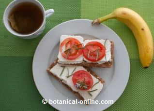 tostadas fibre con fruta e infusion