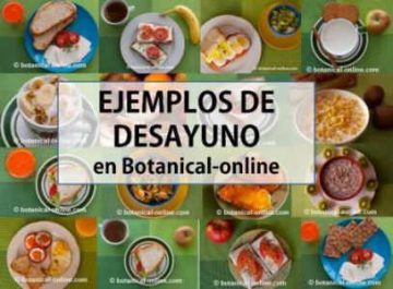 ejemplos de desayuno saludable y natural vegetariano opciones