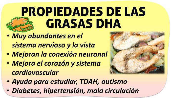 propiedades medicinales y beneficios de las grasas omega 3 dha