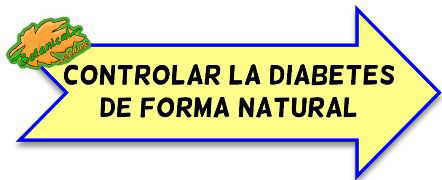 como controlar la diabetes de forma natural