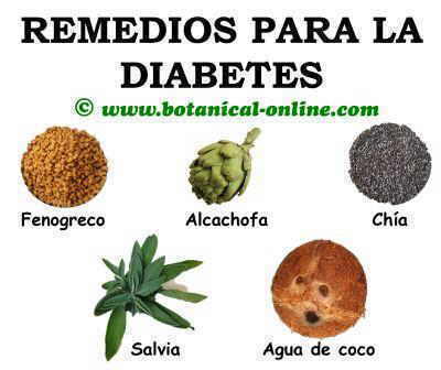 Plantas para la diabetes, remedios naturales 