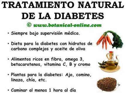 tratamiento natural diabetes remedios alimentos plantas