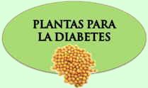 Remedios para la diabetes