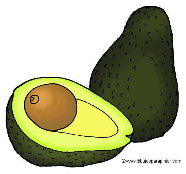 dibujo grande de aguacate