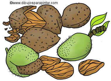 Dibujo de almendras