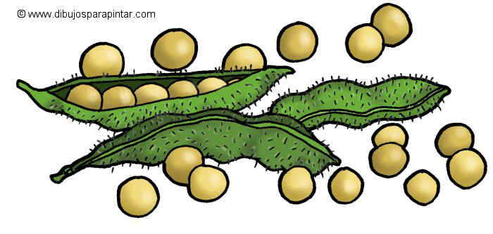 dibujo grande de pinchitos de soja