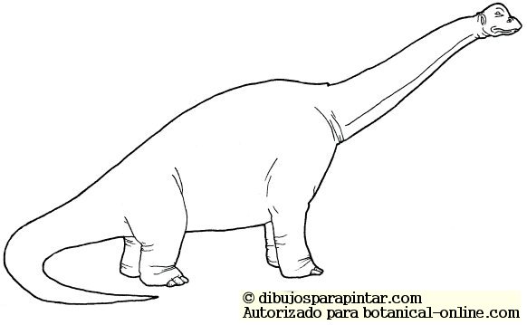 Dinosaurio Diplodocus – Botanical-online
