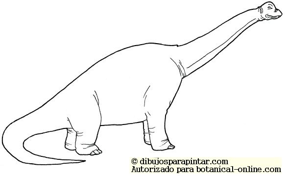 Diplodocus