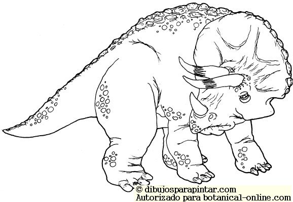 Triceratops