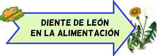 diente de leon en la alimentacion