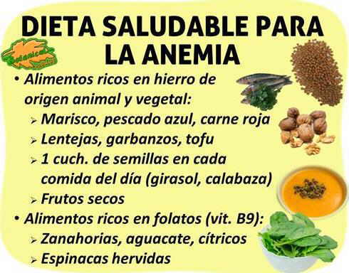 dieta alimentacion rica en hierro para la anemia