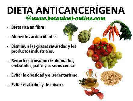 Dieta anticancerigena