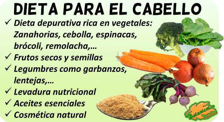 dieta cabello alimentos recomendados