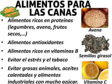 dieta para las canas