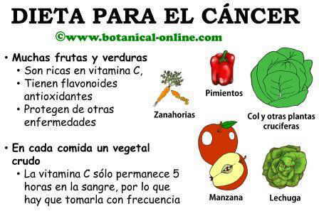 Dieta anticancerigena