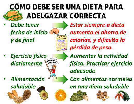 DIETA SALUDABLE PARA PERDER PESO  Cinco alimentos que debes incluir en tu  dieta para perder peso rápido