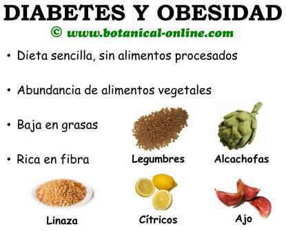 diabetes y obesidad dieta alimentacion