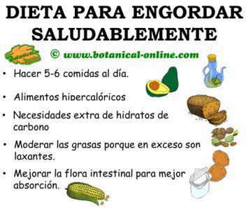 dieta para engordar