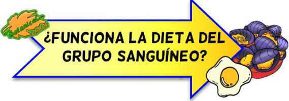 dieta grupo sanguineo funciona