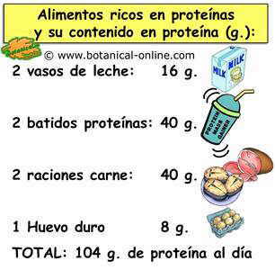 calculo proteina dieta hiperproteica con sobres de proteina